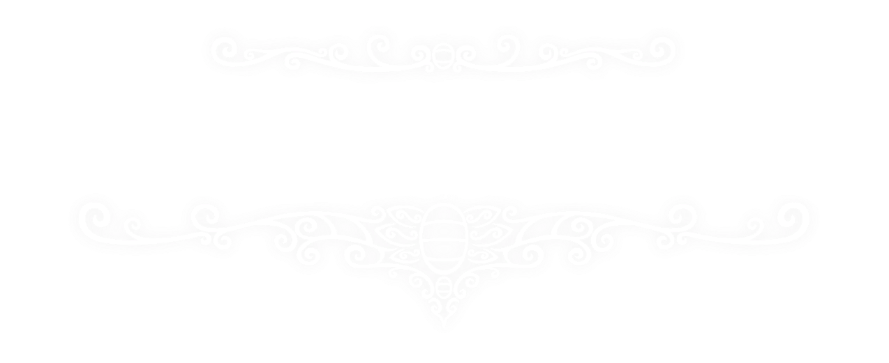 Hollow knight! projeto